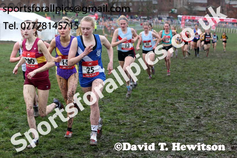 Senior girls 2019 New Balance English Schools Cross Country Champs, Temple Newsam, Leeds. Photo:  David T. Hewitson/Sports for All Pics